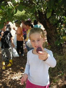Sortie-chez-un-pruniculteur-015.jpg