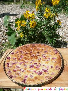 tarte chocolat blanc framboises 9