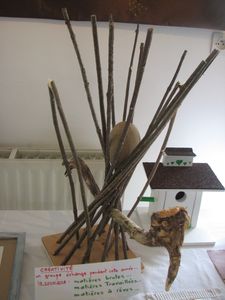 2011.06.08 Expo - L'oiseau de Guy