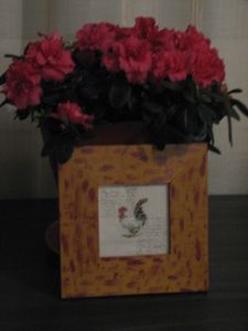 2012.03.08-La-famille-7677.JPG