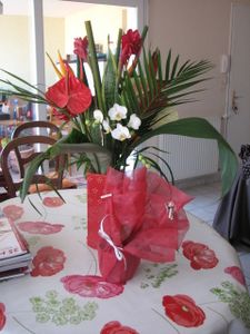 2012.12.28-Orchidee-Florent-Padel.JPG