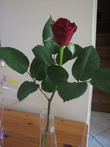 2011.03.6-Fete-gr-mere-garcons1.jpg