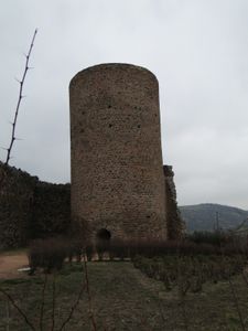 DSC08108