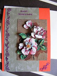 carteanne1