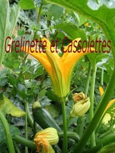 Aout-2010 0732T