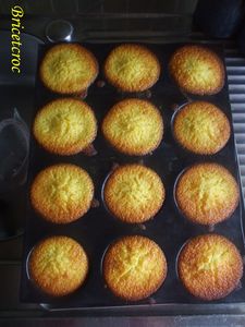 fondant à l'orange 4-copie-1
