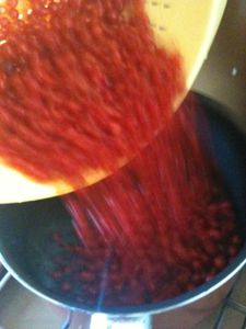 Sorbet groseille 0351