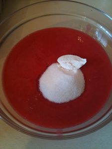 Sorbet groseille 0356