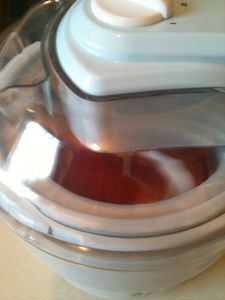 Sorbet groseille 0357