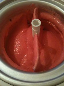 Sorbet groseille 0359