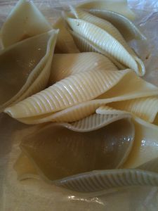 Conchiglionni 0952