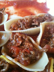 Conchiglionni 0954