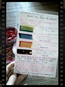 621d223d-43fa-4036-8874-1c1d98dafce6.jpg