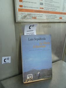 P1070002.JPG