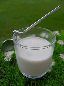 creme-onctueuse-5.jpg