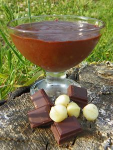 pate-a-tartiner-choco-noisette-5.jpg