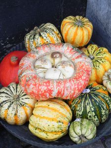 DSCN2760.JPG