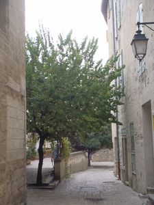 MAS-DE-BOURGADE-094.JPG
