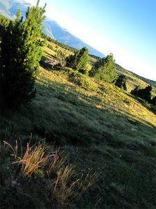 2010 08 24 (00) - Paysage (dessous)