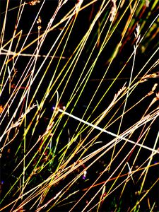2010 08 24 (00) - Paysage (dessus)