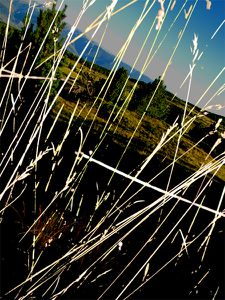 2010 08 24 (00) - Paysage