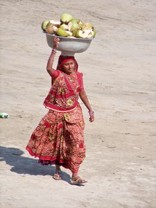 Picture 271