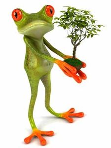 grenouille_avec_son_arbre.jpg