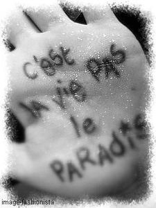 la-vie-pas-le-paradis.jpg