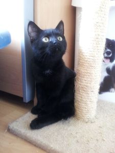 20130926_181648-copie-2.jpg