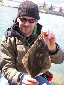 Tourlaville Fishing - FTF Rockfishing Reins Aji Ringer Rockvibe