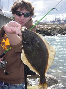 Tourlaville Fishing - FTF Rockfishing Reins Aji Ringer Rockvibe