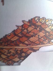 zattera IMAG0957.jpg