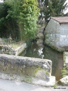 P1050980