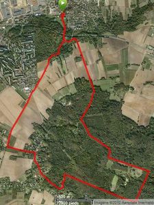 flins030412