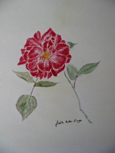 IMG_0449.JPG