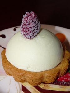 Fleur-des-neiges--3-.JPG