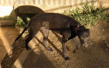 DSCN7076-copie-1.JPG
