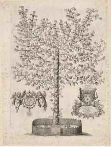 arbre2