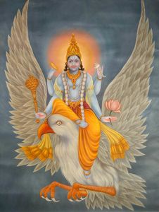 garuda
