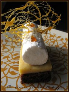 brownie-des-iiles-018-copie-1.jpg