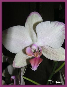 20030101_21.jpg