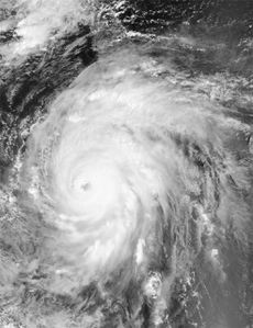 cyclone-ivan-n-b.jpg