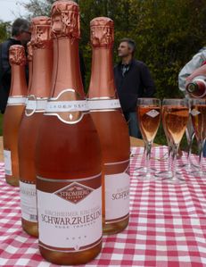 kirchheimvins_sekt.jpg