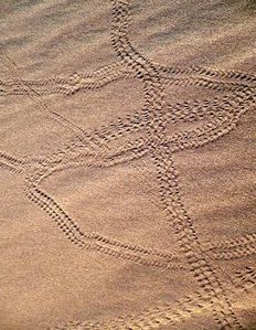 sossusvlei piste