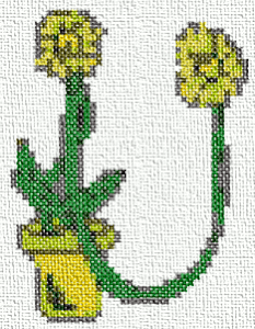daisy-U.gif