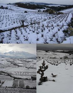 montner sous la neige 107