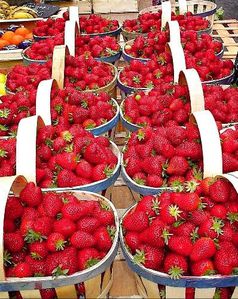 panier de fraises