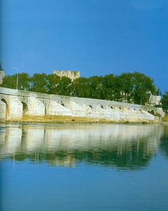 pont Beaugency - 450001