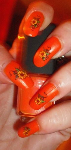 Orange-3.jpg