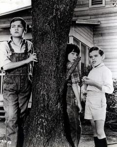 Du silence et des ombres - Phillip Alford, Mary Badham, Joh